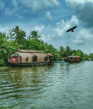 Day 5: Thekkady – Alleppey Houseboat (130 km / 4 hrs)