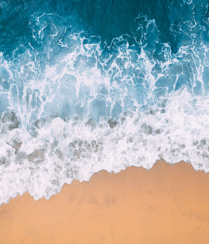 Day 7: Kovalam & Trivandrum Excursion