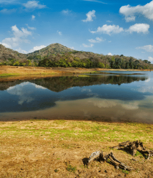 Day 6: Munnar – Thekkady (90 km / 3 hrs)