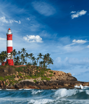 Day 8: Departure from Trivandrum