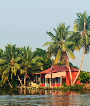 Day 3 -  To Alleppey || Alleppey local sightseeing|| Alleppey  