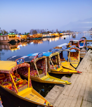 DAY 1 - Arrival in Srinagar || Stay at Srinagar