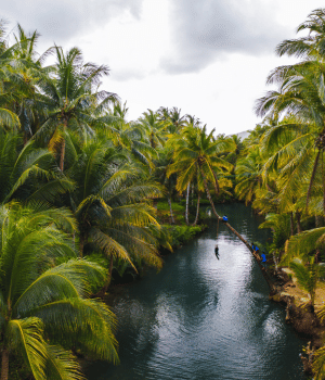 Day 1 : Arrival and Alleppey Houseboat Experience