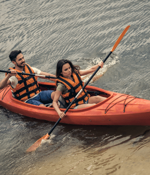 Day 2: Kayak, Sightseeing Alleppey, Tranfer Alleppey to Cochin