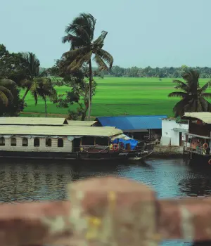 Day 1: Arrival in Cochin – Transfer to Alleppey Houseboat