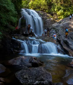 Day 3: Munnar to Cochin Departure
